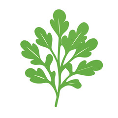 A clean, minimal flat vector of a green arugula bunch, designed in a modern 2D style on a white background. Minimalistic 2D flat icon