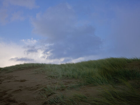 Wind-Swept Dune Grass at Murder Hole Beach in County Donegal Ireland