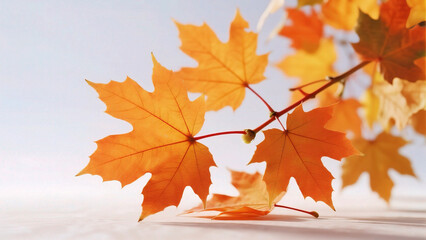Obraz premium Autumn leaves on a branch