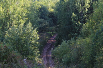 An old dirt road in dense deciduous forests on a sunny late summer day