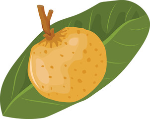 Vector illustration, longan fruit whole and in half, with green leaves, isolated on a white background.