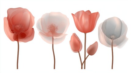 Naklejka premium A clean white background provides the setting for delicate translucent floral elements to exhibit soft colors