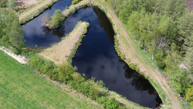 Aerial view of serpentine ponds and irrigation canals dividing green fields in a rural landscape on a sunny day - Powered by Adobe