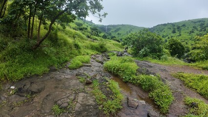 Monsoon Stream Flowing Over Rocky Terrain, Surrounded by Lush Green Vegetation