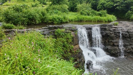 Small Waterfall and Cascade Flowing Over Dark Rocky Steps, Surrounded by Lush Green Tropical Foliage and Wildflowers in the Monsoon Season