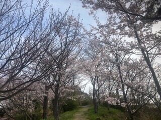 Obraz premium The islands of Japan