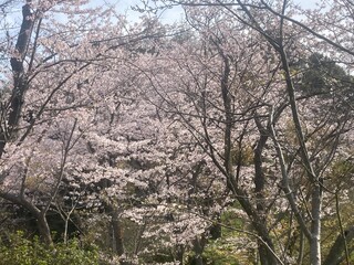 The islands of Japan