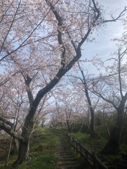 The islands of Japan