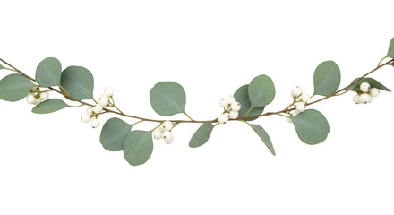 Isolated botanical arrangement of eucalyptus leaves and white berries for festive decoration © Isolde