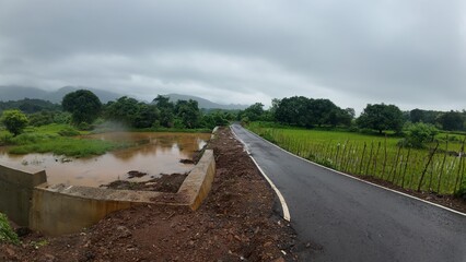 Rural Road Passing Through Waterlogged Fields in Monsoon