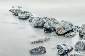 Rocks in the water on the Baltic Sea coast with seagulls.