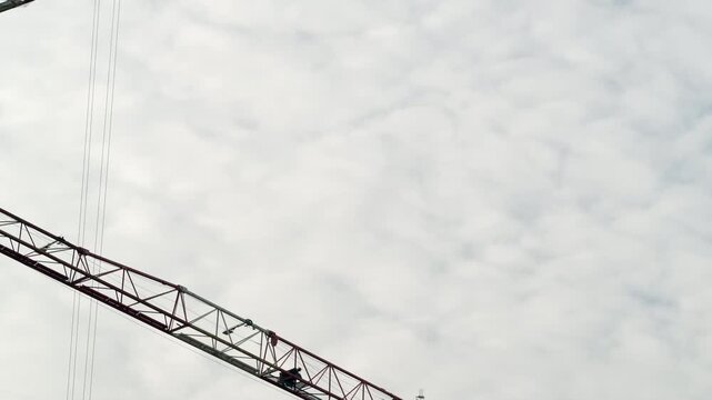 One Crane Stationary, One Enters Frame