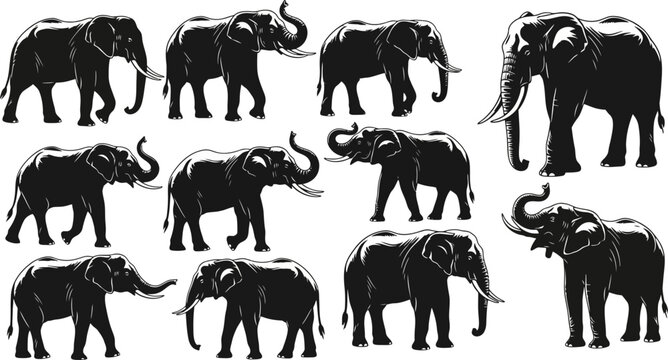 Dynamic collection of powerful elephant silhouettes showcasing various majestic poses and movements, ideal for wildlife themes, graphic design, and educational materials
