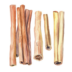 A minimal layout design, a Watercolor painting of a cinnamon sticks, delicately hand-painted with artistic brush strokes, white background, vector EPS
