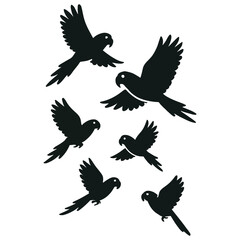 Obraz premium Six black silhouettes of parrots in flight, each captured in a unique airborne pose with spread wings.
