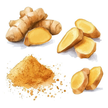 Watercolor type, An Imaginary Minimalistic 2D flat icon ginger powder set, modern element in vector and EPS format, isolated on a white background, Simple illustration