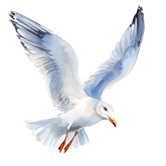 Watercolor type, An Imaginary Minimalistic 2D flat icon gull seagull, modern element in vector and EPS format, isolated on a white background, Simple illustration