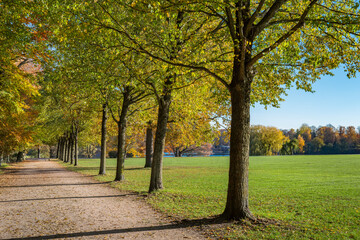 Fototapeta premium Hamburg, Germany. The City Park (German: Stadtpark) in the autumn.