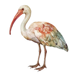 An Imaginary Minimalistic 2D flat icon ibis bird, modern element in vector and EPS format, isolated on a white background, Simple illustration