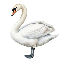 Cute design, An Imaginary Minimalistic 2D flat icon swan bird, modern element in vector and EPS format, isolated on a white background, Simple illustration