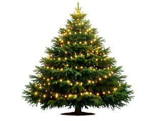 Tall Christmas Tree with Scattered String Lights, PNG Cutout.