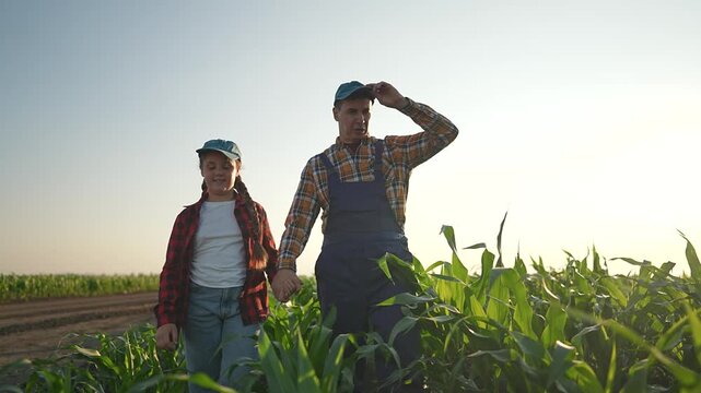 Family walking slowly in corn field. Father adjusts cap looking girl smiling. Girl holds father hand stepping on green corn path. Sunset highlights field. Girl enjoying walk father through corn rows