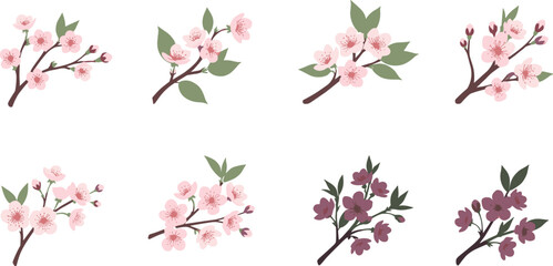 Set of cherry blossom floral branches illustration, pink sakura flowers and buds, spring botanical vector art, Japanese nature design collection