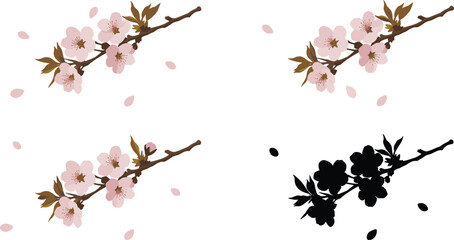 Beautiful cherry blossom branch illustration with falling petals, floral vector design, spring flower artwork, Japanese sakura clipart, nature silhouette composition