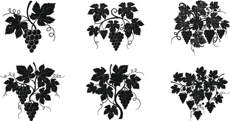 Elegant black grapevine silhouette collection with detailed leaves and grape bunches, vintage botanical vector design for wine, vineyard, and art