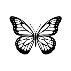Elegant Colorful Butterfly Vector