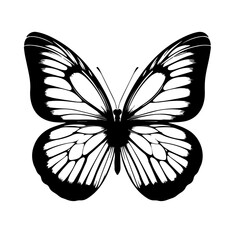 Colorful Flying Butterfly Vector