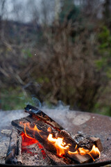 a fire lit outside with burning logs in an iron fire pit