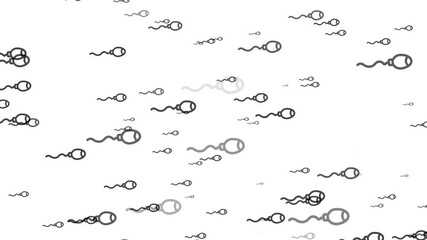 Numerous stylized sperm cells swimming in a scattered pattern against a white background fertilization