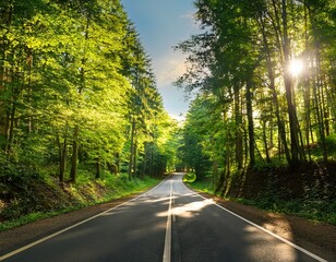 Obraz premium forest path journey an inviting asphalt road stretches invitingly through a vibrant sun dappled forest offering a sense of adventure and a path toward discovery