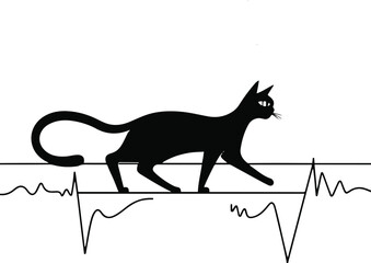 Elegant single line showing a cat walking along a tightrope that turns into a heartbeat line 1