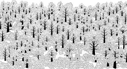 Black and white forest landscape with dense trees and foliage  