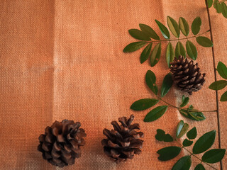 Brown dry pine cones and fallen leaves placed on rustic sackcloth create a warm, earthy background perfect for seasonal themes, craft projects