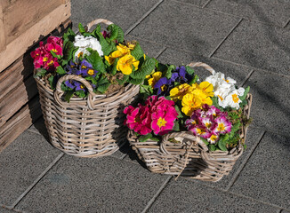 two wooden baskets filled with colorful flowers stand outside on the street