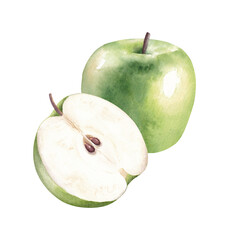 Watercolor arrangement of green apple and a half. Hand drawn illustration isolated on white background