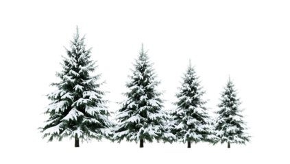 A realistic display of five snow-covered evergreen trees, varying in size, isolated on a white background, perfect for winter holiday designs and natural seasonal compositions