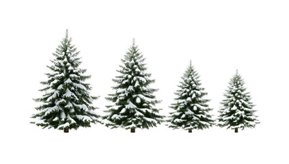 Obraz premium A set of four digitally illustrated evergreen fir trees in decreasing sizes, covered with realistic snow for a winter holiday theme, isolated on a white background