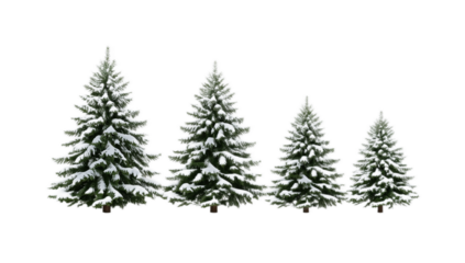 A set of four digitally illustrated evergreen fir trees in decreasing sizes, covered with realistic snow for a winter holiday theme, isolated on a white background