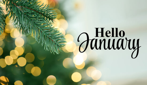 Hello January, winter time card with fir tree branches and bokeh lights