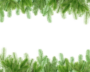 Christmas tree branches isolated on white. Frame with space for text