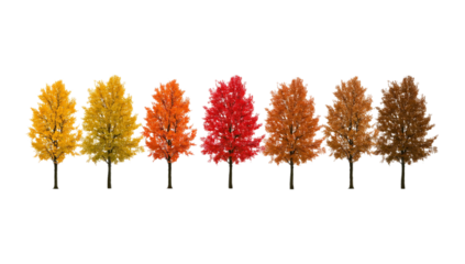 A row of trees displaying autumn colors in a digital illustration