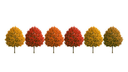 A captivating digital array of six distinct deciduous trees, each bursting with the brilliant hues of autumn foliage, from sunny yellow to fiery red, ideal for seasonal graphic projects