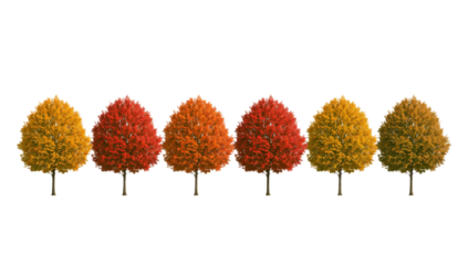A captivating digital array of six distinct deciduous trees, each bursting with the brilliant hues of autumn foliage, from sunny yellow to fiery red, ideal for seasonal graphic projects