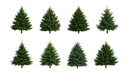 Collection of Realistic Pine Trees for Festive Decor and Landscape Design