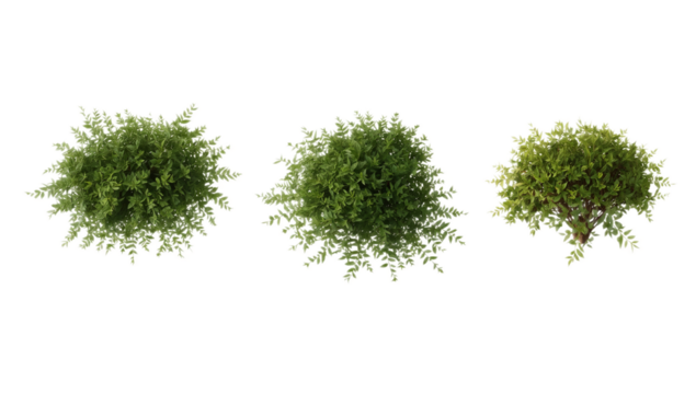 Three lush green bushes displayed from a top-down perspective against a clean white background, perfect for landscaping or architectural visualization projects