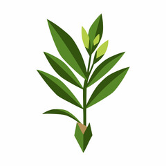 Flat Design Delicate Branch with Budding Leaves Botanical Illustration